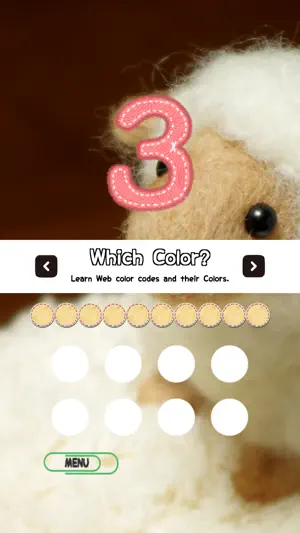 Color Quiz!!