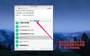 字体文件预览器