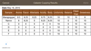 Catador Cupping