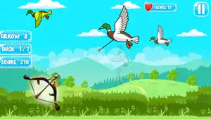 Big Archery Duck Hunting Game