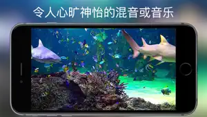 水族馆 HD +