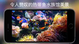 水族馆 HD +