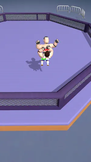 Hyper Wrestler 3D