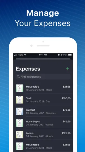 Business Expense Tracker sap