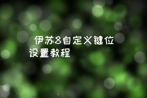  伊苏8自定义键位设置教程