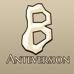 Bonesetter Anteversion