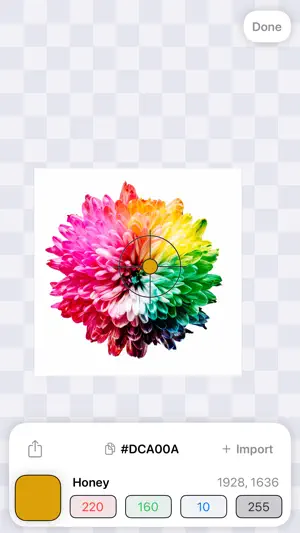 Color Pro Picker