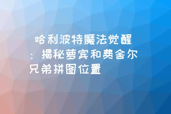  哈利波特魔法觉醒：揭秘萝宾和费舍尔兄弟拼图位置