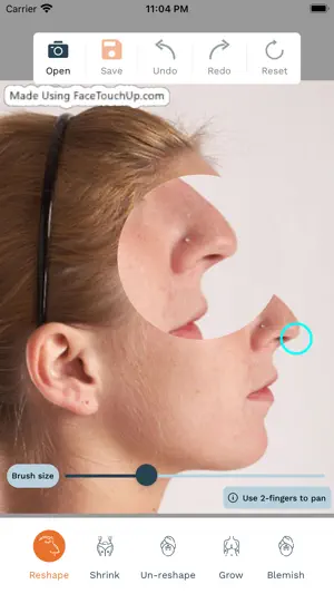 FaceTouchUp Nose Job Simulator